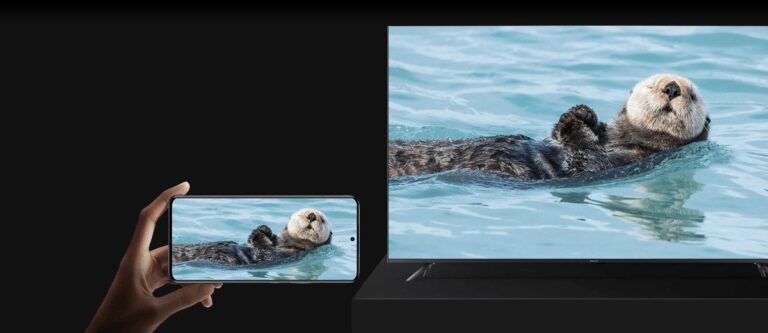 xiaomiboxchromecast